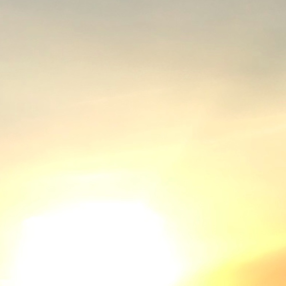 Meet your Posher, Alyea